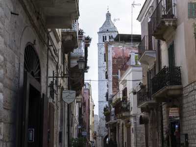 Proseguiamo arrivando in via Duomo, strada circondata da vicoli che non ha caso sono dedicati ai tredici "eroi" locali. Camminiamo scrutando gi� in lontananza l'alto campanile della Cattedrale di Santa Maria Maggiore, la pi� maestosa di tutta la zona